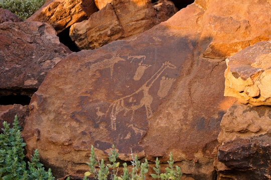 San rock art at Twyfelfontein, Namibia