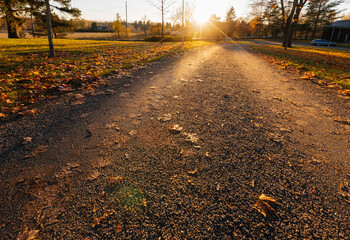 road in a bright autumn park