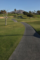 Golf course in Mexico with mountain view, Los Cabos, Mexico ,Baja California Sur