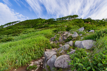 火打山の登山道