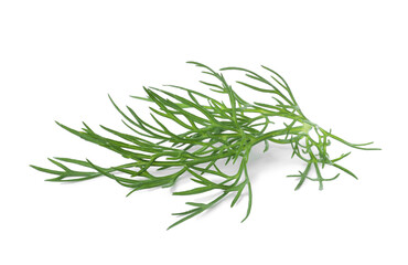 Sprig of fresh dill isolated on white