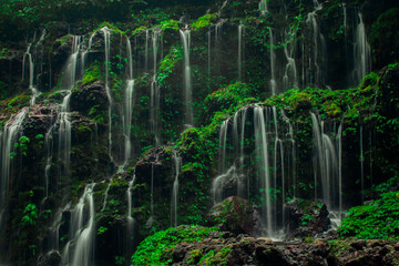 Beautiful view of Banyuwana waterfall