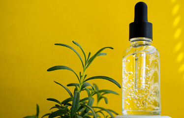 Rosemary leaves on an isolated background. Rosemary oil in a bottle.