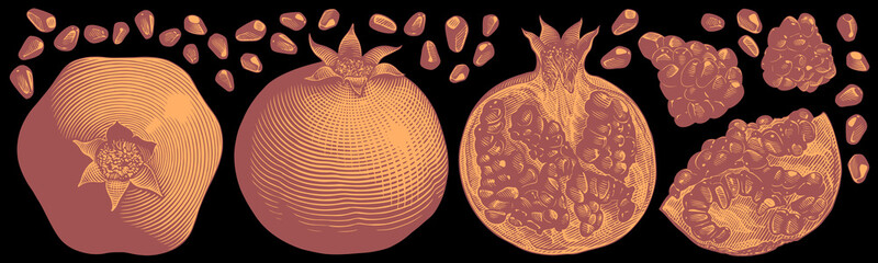 Pomegranate. Design set. Hand drawn engraving. Editable vector vintage illustration. Isolated on black background. 8 EPS