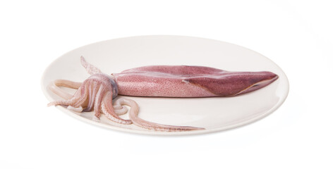 Fresh squid on a dish isolated on white background
