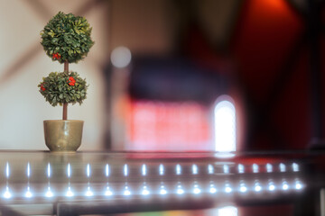 Flowerpot with Decorative Plant Sitting on a Shop Counter