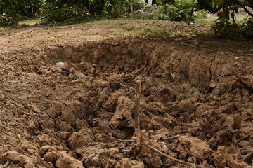 The sticky soil in the forest is dry, the soil breaks apart in the rainy season.