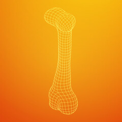 Anatomy Dog Bone object. Wireframe low poly mesh vector illustration