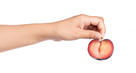 hand holding slice plum isolated on white background