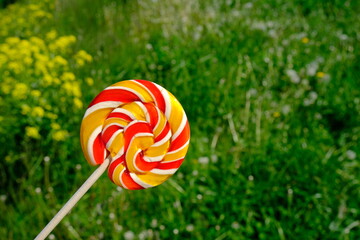Colorful rainbow lollipop and nature background