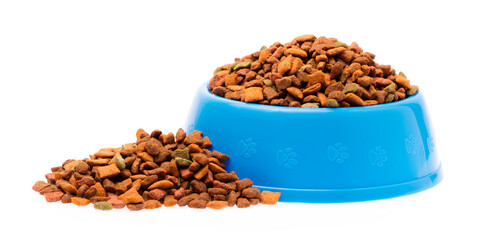 blue plastic bowl full with dog food isolated on white background - 438911614