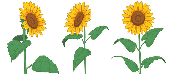 ひまわり　イラスト　素材