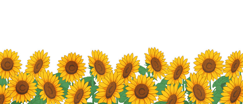 22 468 Best Sunflower Frame Images Stock Photos Vectors Adobe Stock