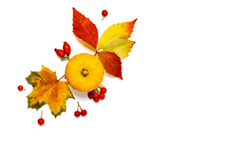 Autumn composition. Natural food, harvest with orange pumpkin, fall dried leaves, rowan berries isolated on white background. Autumn Thanksgiving day background.