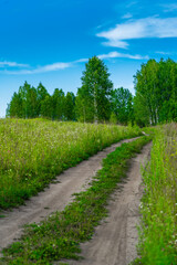 Fototapeta na wymiar country pathway to horizon through wild flowers meadow, fresh spring forest and blue sky with white clouds, sunny summer day landscape