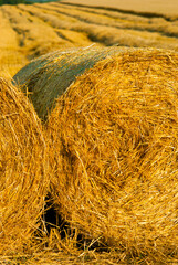 Hay bale