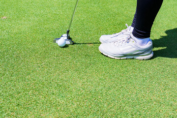putter and golf ball on the green