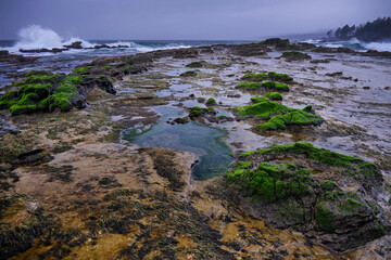 Tide pools and green sea rocks, and big waves on Botanical Beach near Tofino. Pacific Rim park. Tofino. British Columbia. Canada