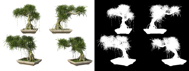 A wide variety of trees and shrubs
