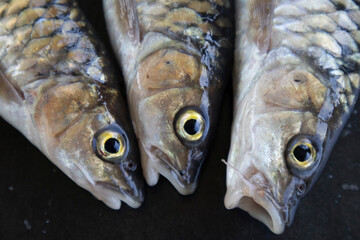 The head parts of three freshwater river fish that have just been caught from the river. It is still fresh and delicious to make freshwater fish soup. © JUILLIF