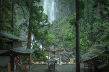 和歌山県 那智の滝 新緑