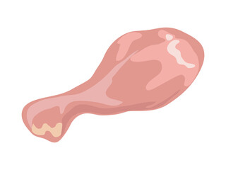 Chicken leg vector isolated