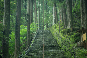 和歌山県 那智の滝 新緑