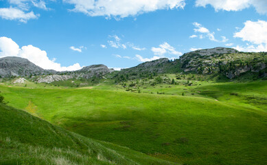 the green of the meadows in the high mountains in spring