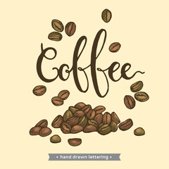 Detailed hand-drawn sketch of coffee beans and lettering