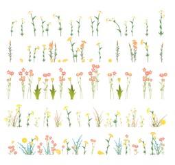 Set isolated. Meadow with wildflowers. Grass close-up. Wild green rural plants. Cartoon style. Flat design. Countryside view. Flowers. Vector illustration. art