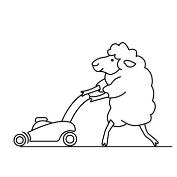 recommend clip art: Funny sheep mows the grass with a lawn mower and makes lawn. Comic doodle vector animal illustration isolated on white background. Black outline image.