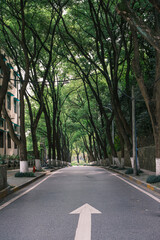 Obraz premium Early summer scenery of Guishan Park in Hanyang, Wuhan, Hubei, China