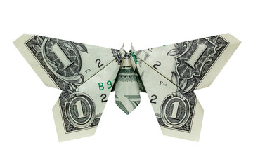 Money Origami Gray BUTTERFLY Folded with Real One Dollar Bill Isolated on White Background