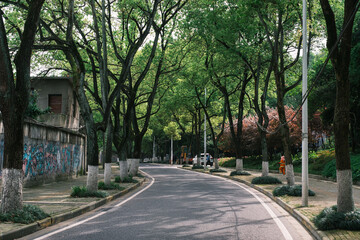 Fototapeta na wymiar Early summer scenery of Guishan Park in Hanyang, Wuhan, Hubei, China