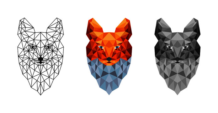 Low poly fox designs isolated on white background. Vector illustration.