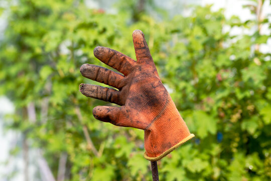 Dirty old glove on a metal bar. Gloves after cleaning the garden and vegetable garden.