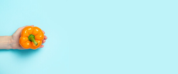 Fototapeta premium A female hand in the palm holds an orange pepper on a blue background. Top view, flat lay. Banner