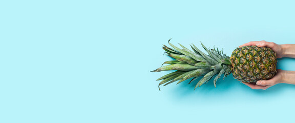 Female hands hold a whole ripe pineapple on a blue background. Top view, flat lay. Banner