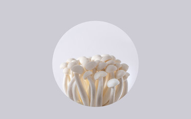 Minimal, vibrant Japanese concept. Arrangement made of various fresh natural shimeji mushrooms. Gray circle frame at front