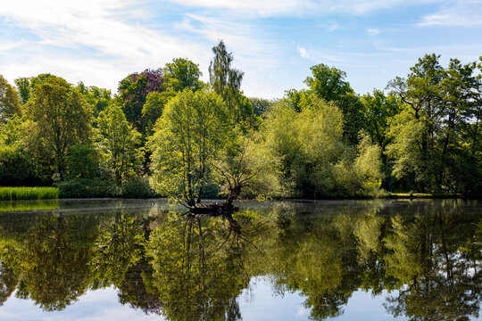 Lush trees and foliage around a pond in a public park in Gothenburg, Sweden. Trees reflecting in the water
