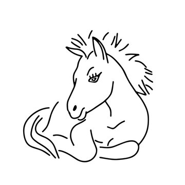 Black outline hand drawing vector illustration of a little horse lying on a grass isolated on a white background