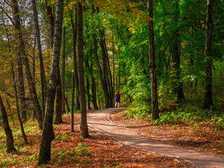 Beautiful autumn trail with a walking figure of a woman on it in a sunny park.