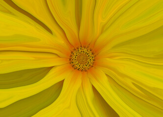 yellow flower macro background, flower flow background for design, Abstract beautiful yellow flower background