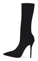 Women long boot. high heel. vector illustration