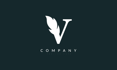 V Letter Design Logo. Letter V Icon Logo in Vector.
