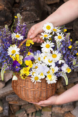 Beautiful summer wedding bouquet, flowers arrangement in basket in florist hands. White yellow blue...