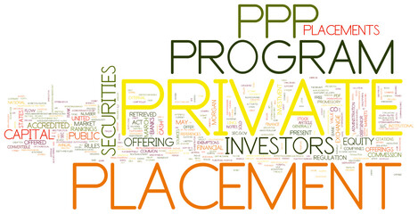 PPP (Private Placement Program) 