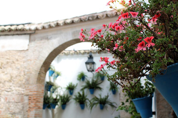patio with flower pots and lantern