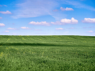 Naklejka premium Scenery. Blue sky with white clouds and green grassy field.