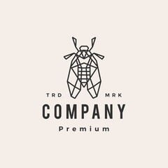 cicada hipster vintage logo vector icon illustration
